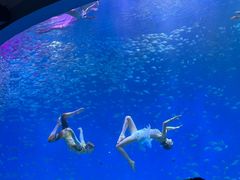 -合肥海洋世界