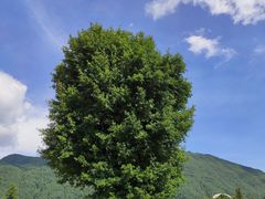 -腾冲云峰山