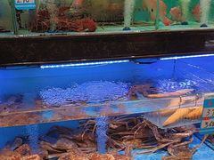 -阿伟海鲜楼·福建菜(延寿店)