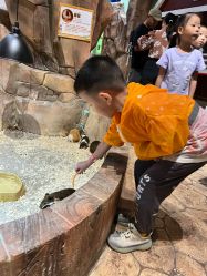 -宝燕乐园(闵行旗舰店)