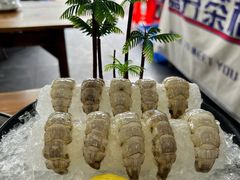 赖尿虾刺身-嘉升大排档(番禺总店)