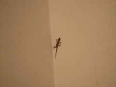 -金香缘米线(大润发店)