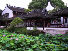 -上海醉白池公园