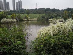-张坝桂圆林公园