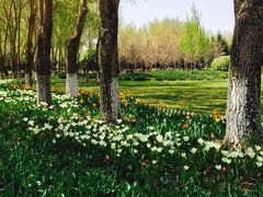 -长春公园(普阳街道)