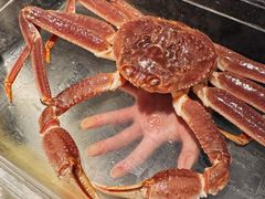 -珍宝海鲜JUMBO Seafood(尚嘉店)