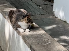 -西园寺