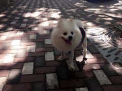 -爱侣宠医·鹦鹉专科·小型哺乳类·异宠专科(灵石路店)