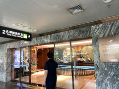 -厦门高崎国际机场-T3航站楼