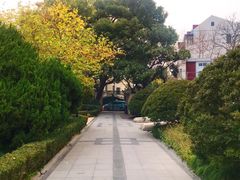 -中国福利会少年宫