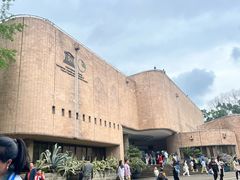 -自贡恐龙博物馆