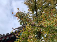-北京石刻艺术博物馆(五塔寺)
