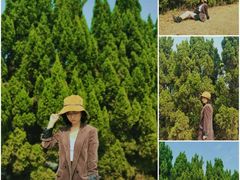 -南沙蒲洲花园