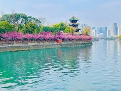 -望江楼公园