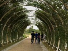 -同里国家湿地公园