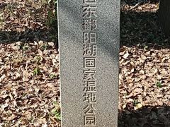 -鄱阳湖国家湿地公园