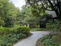 -雪绿茶博物馆