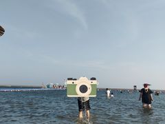 -碧海金沙