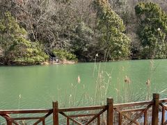 -白马涧龙池景区