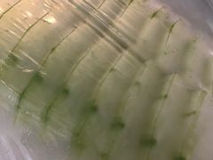 冬瓜-东来顺饭庄(王府井步行街店)