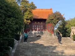-沙市市中山公园