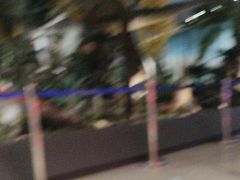 -湖南省地质博物馆