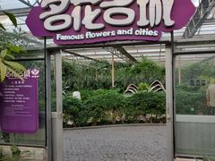 -南宫五洲植物乐园