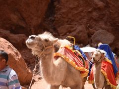 -天山神秘大峡谷