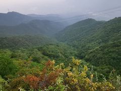 -北京鹫峰国家森林公园