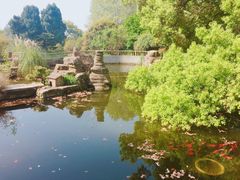 -东湖落雁景区