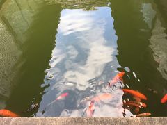 -程十发艺术馆