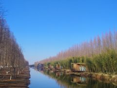 -黄海国家森林公园