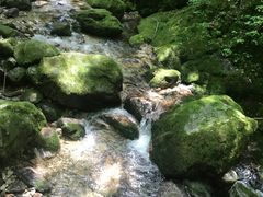 -牛背梁国家森林公园
