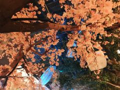 大堂-桂满隴·站立的杭州(无锡八佰伴店)