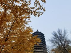 -玲珑塔公园