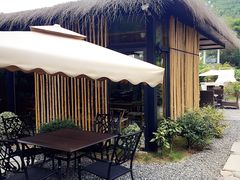 -看见远方·莫干遥远的山民宿