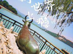 -颐和园