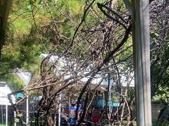 -尚庄度假村·庭台树下·户外烧烤·团建CS·轰趴营地(上庄水库店)