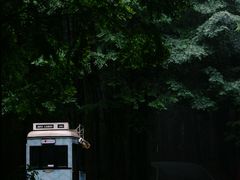 -山王坪喀斯特国家生态公园