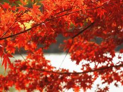 -上海交通大学(闵行校区)