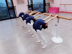 -墨舞舞蹈(顾村公园店)