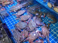 -渔民船说·北塘海鲜·天津菜·海肠捞饭(北塘古镇店)