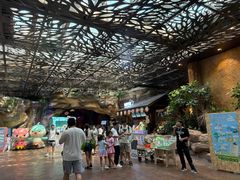 -杭州开元森泊度假乐园