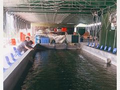 -会江钓鱼钓虾烧烤场