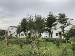 -东梓关景区村庄