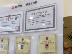 -艾贝尔宠物医院·狂犬免疫点(江山金象城店)
