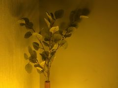 -禧瑞 ·丝浴主题·水疗·spa(中山公园店)