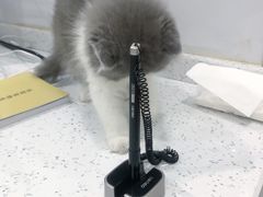 -佳雯宠物医院(金华南路分院)