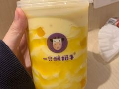 芒来芒趣酸奶多-一只酸奶牛(时代天街A馆店)