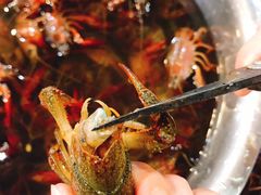 -休记光头香辣蟹干锅(绵竹店)